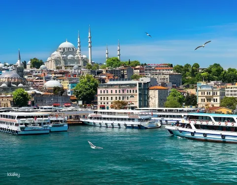 Bosphorus Sightseeing Cruise